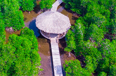 Hệ sinh thái rừng -biển hoang sơ